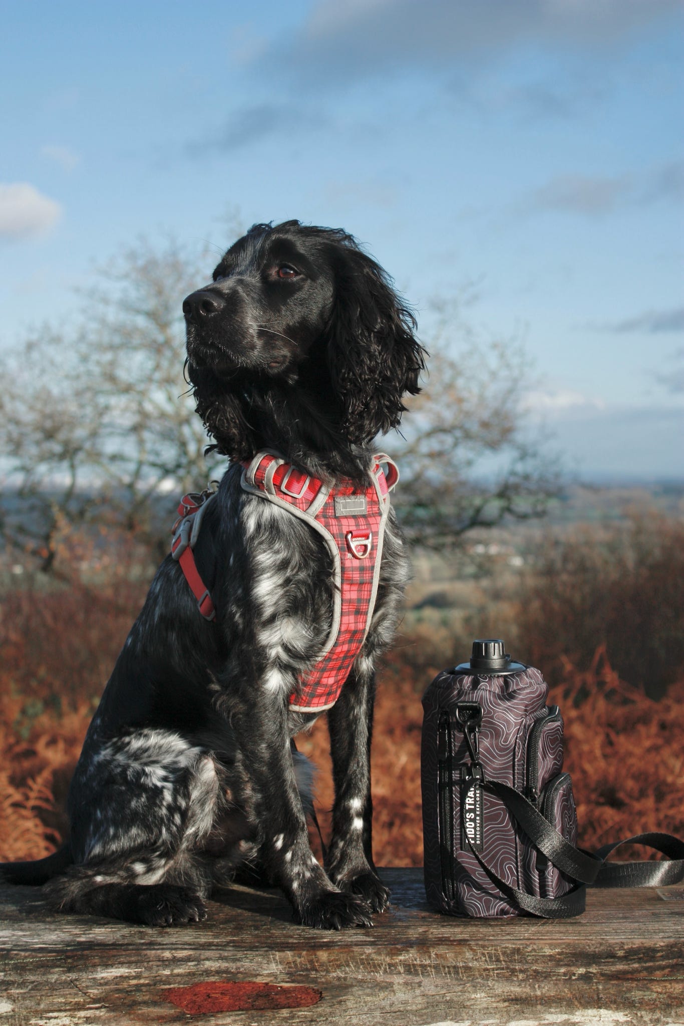 Dog Water Bottle Bag | Contour Trail Crossbody Carrier