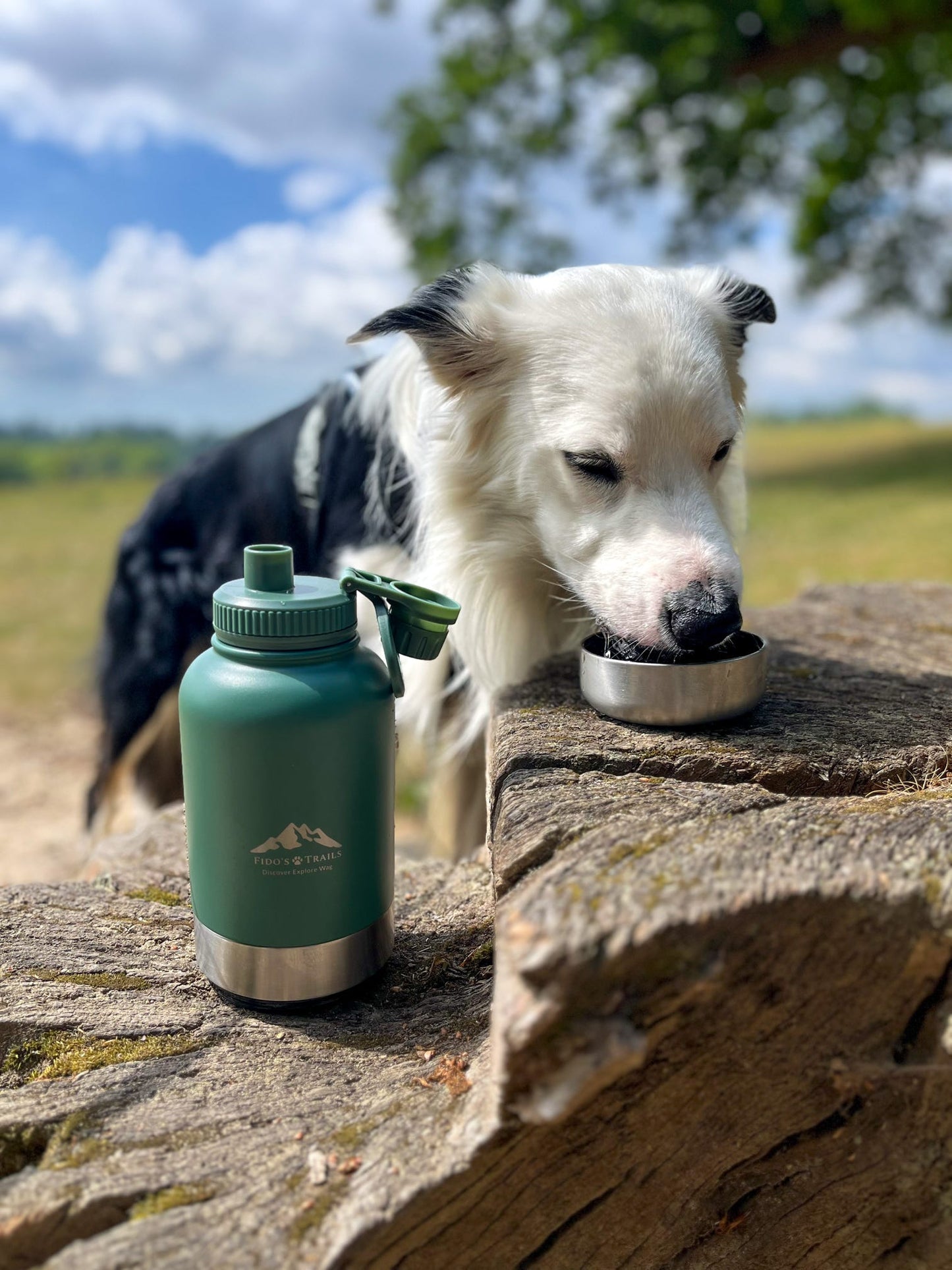 3-in-1 Dog Water Bottle – Forest Green | Portable Travel Bottle