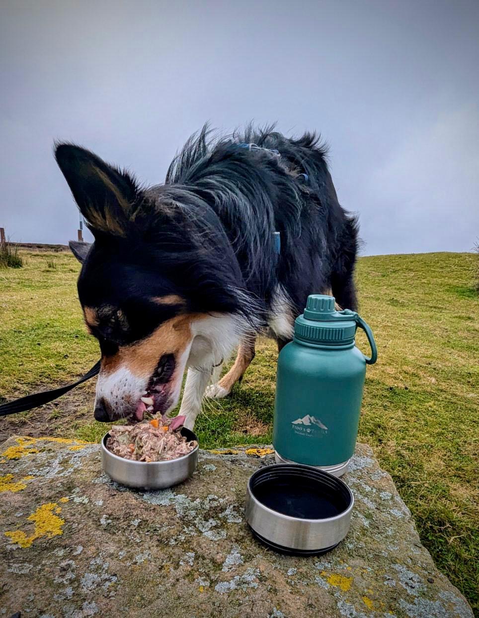 3-in-1 Dog Water Bottle – Forest Green | Portable Travel Bottle