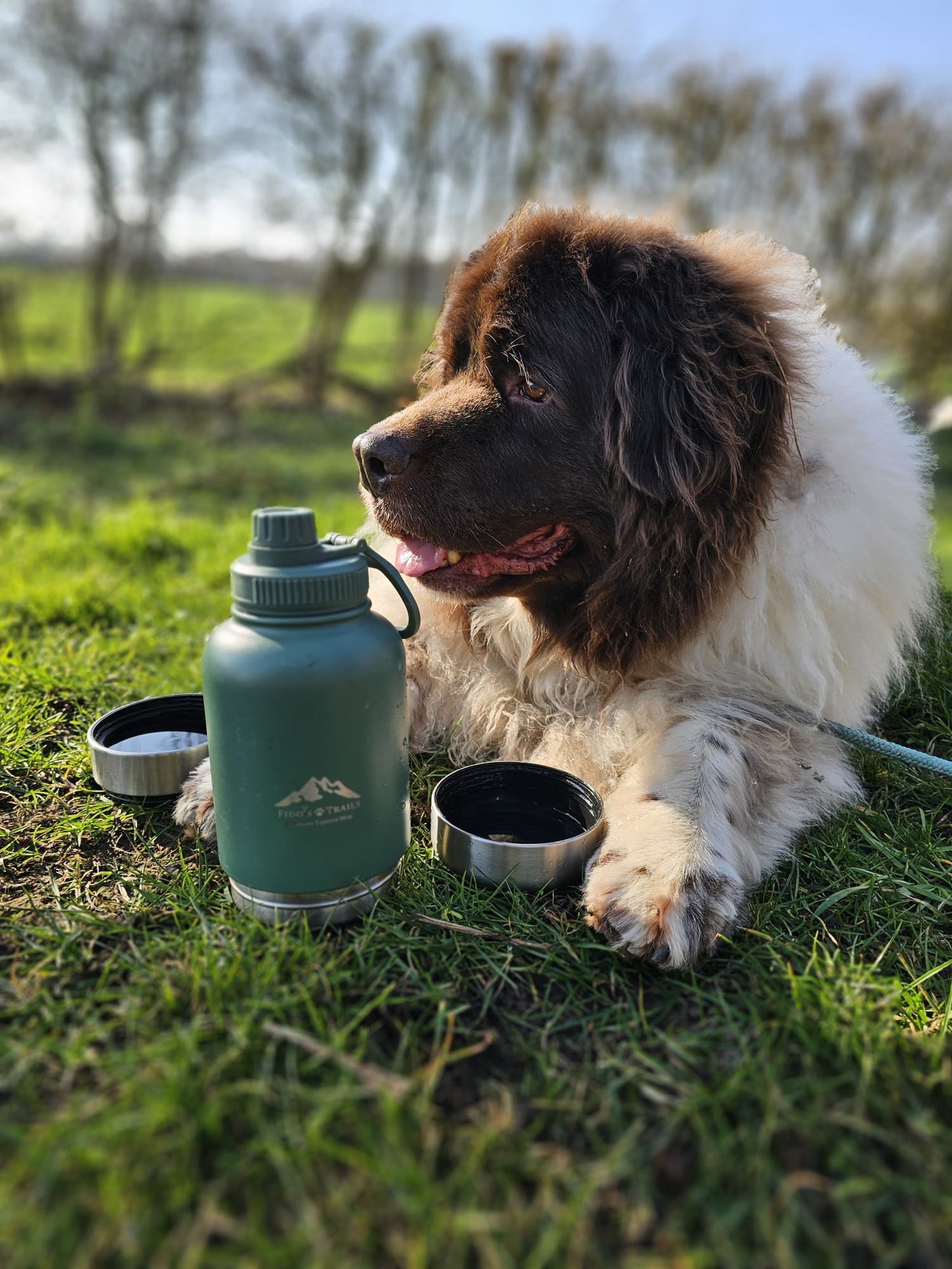 3-in-1 Dog Water Bottle – Forest Green | Portable Travel Bottle