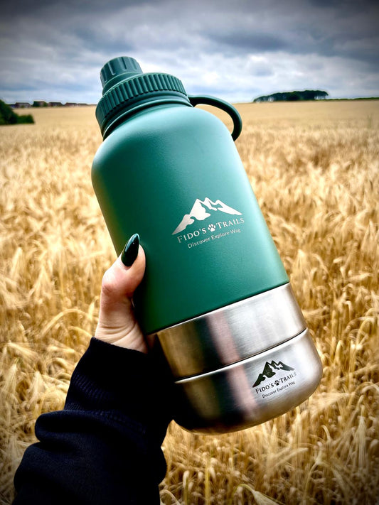 3-in-1 Dog Water Bottle – Forest Green | Portable Travel Bottle