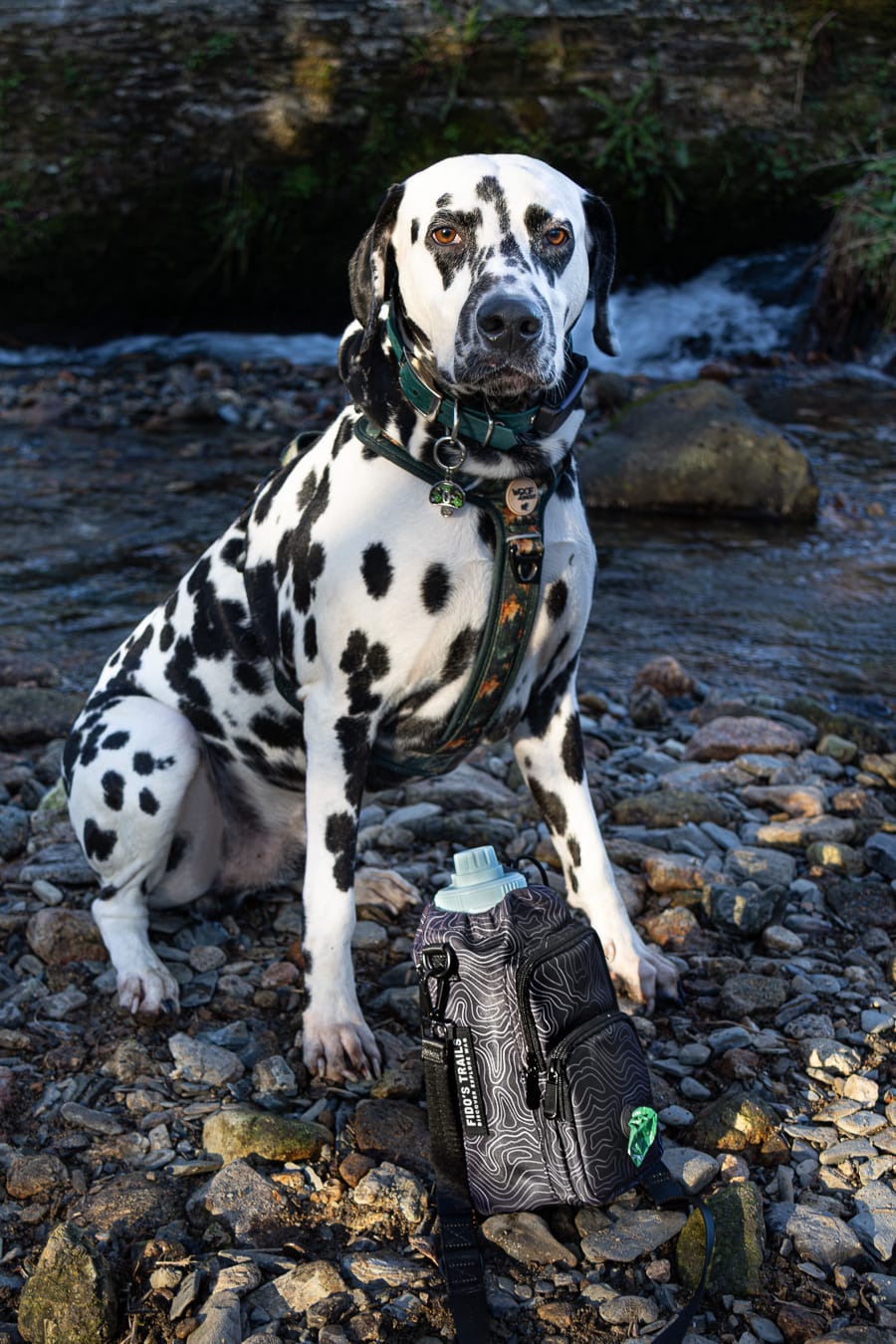 Dog Water Bottle Bag | Contour Trail Crossbody Carrier